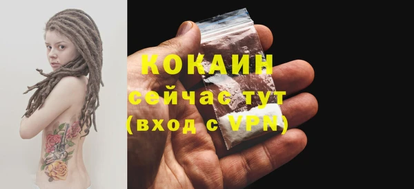 шишки Снежногорск