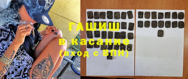 сатива Алзамай