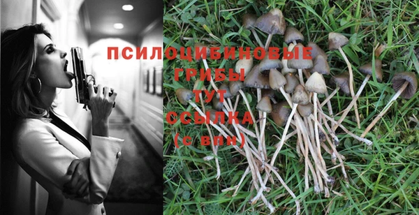 сатива Алзамай